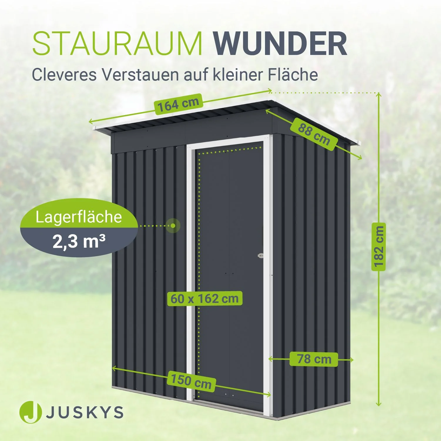 Image du produit 31