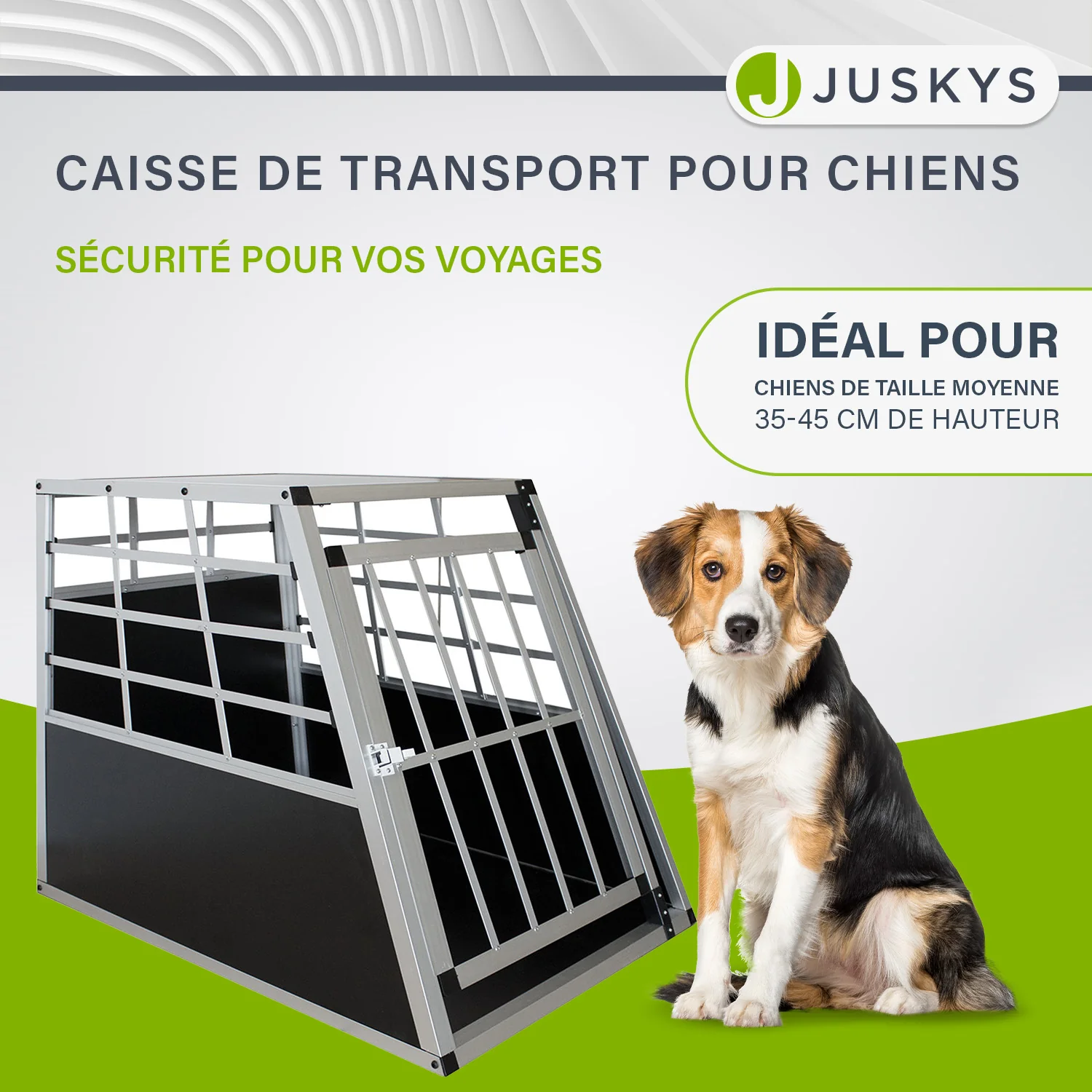 Image du produit 41