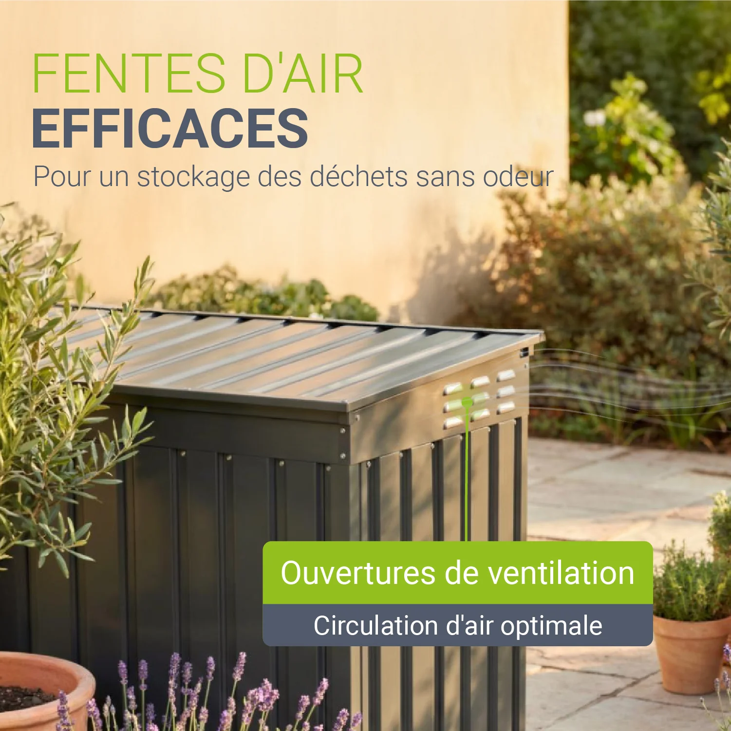 Image du produit 12