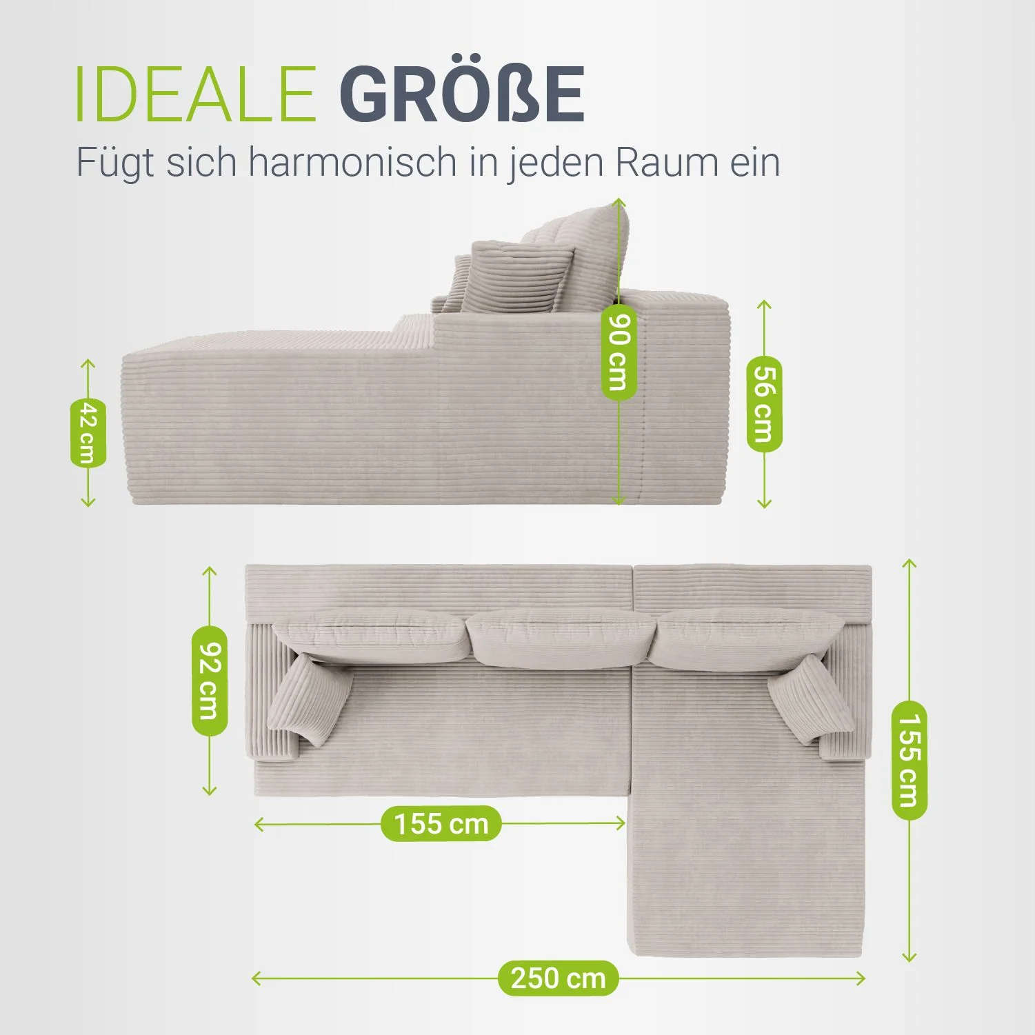 Image du produit 19