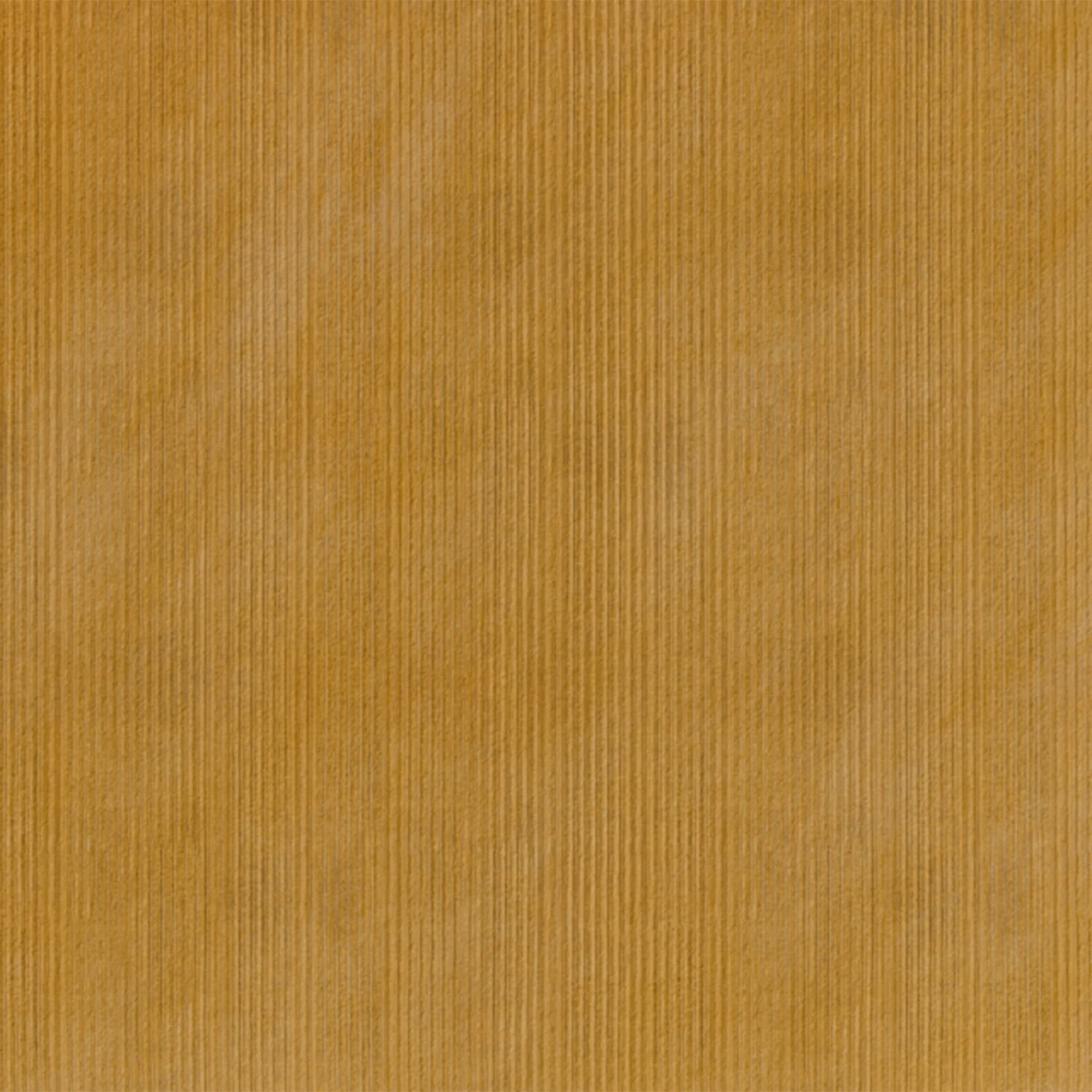 Image du produit 100