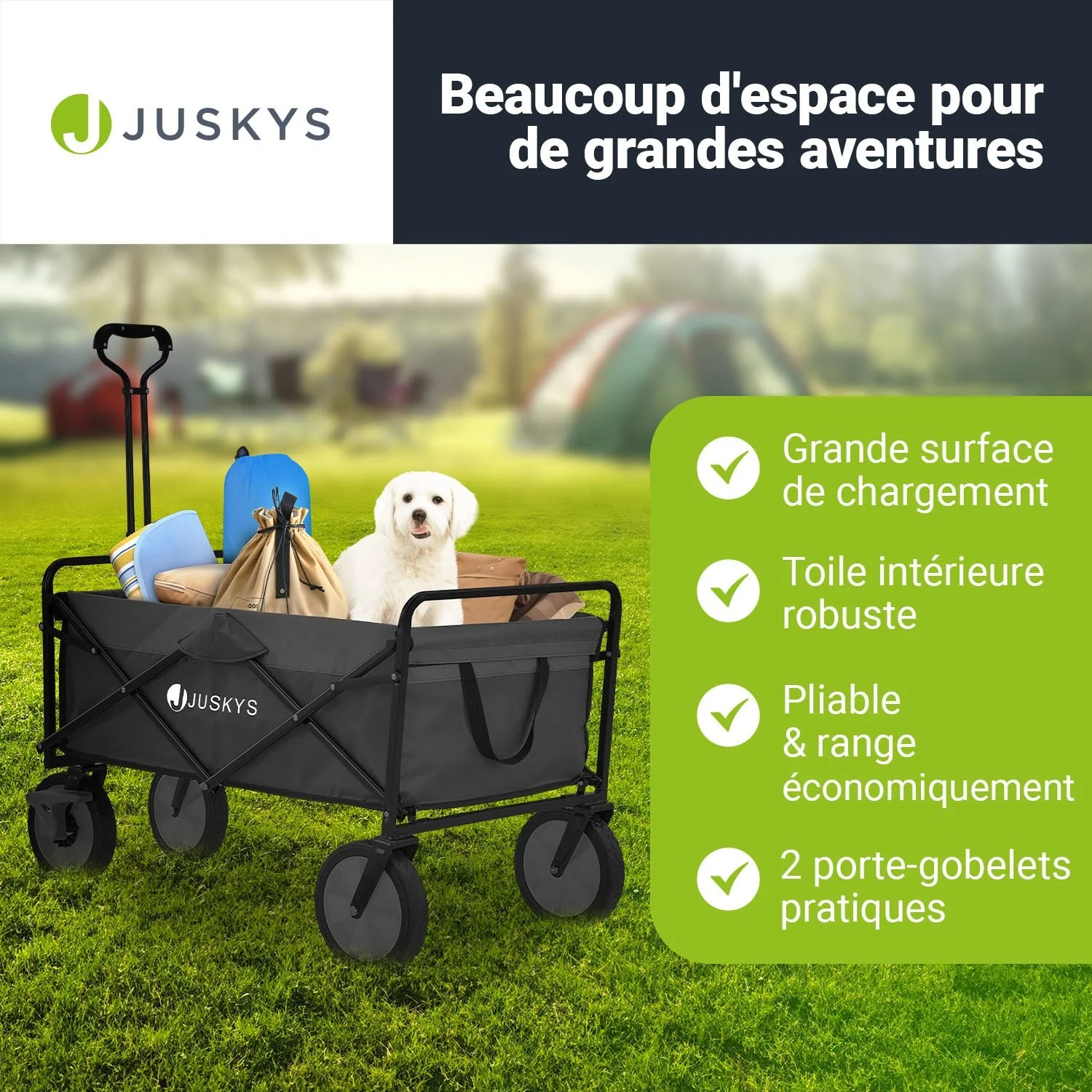 Image du produit 43