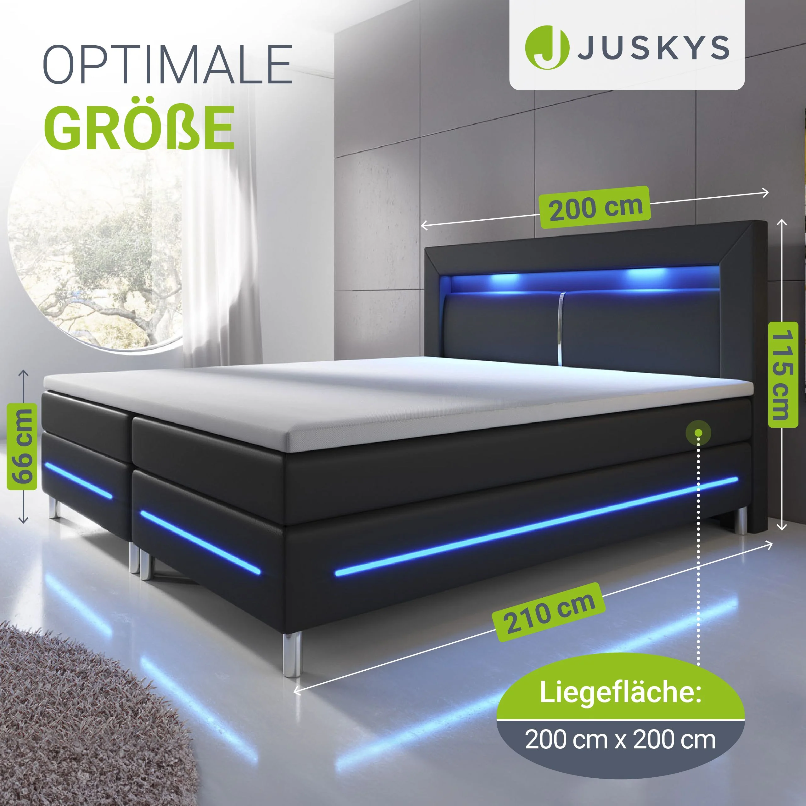 Image du produit 51