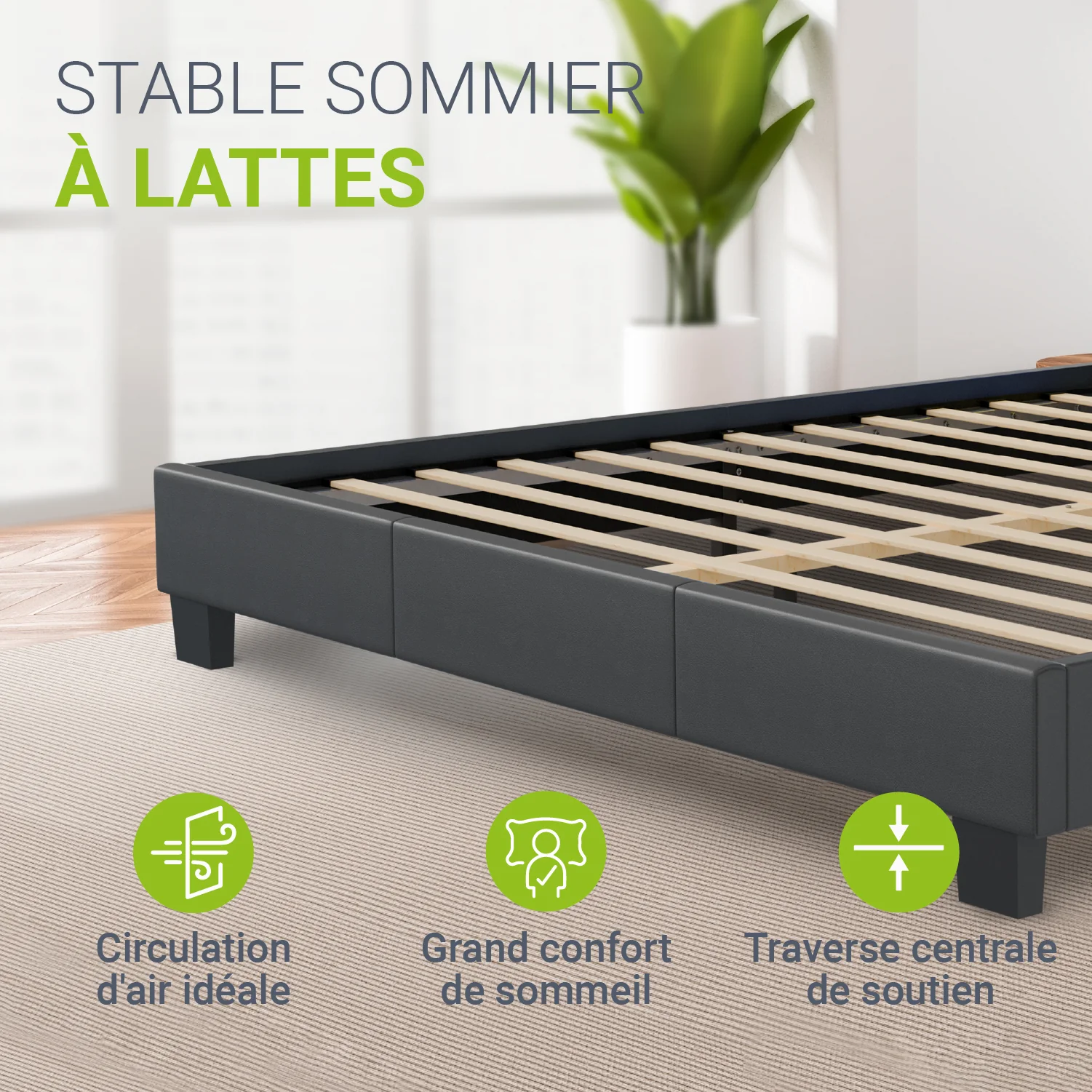 Image du produit 190