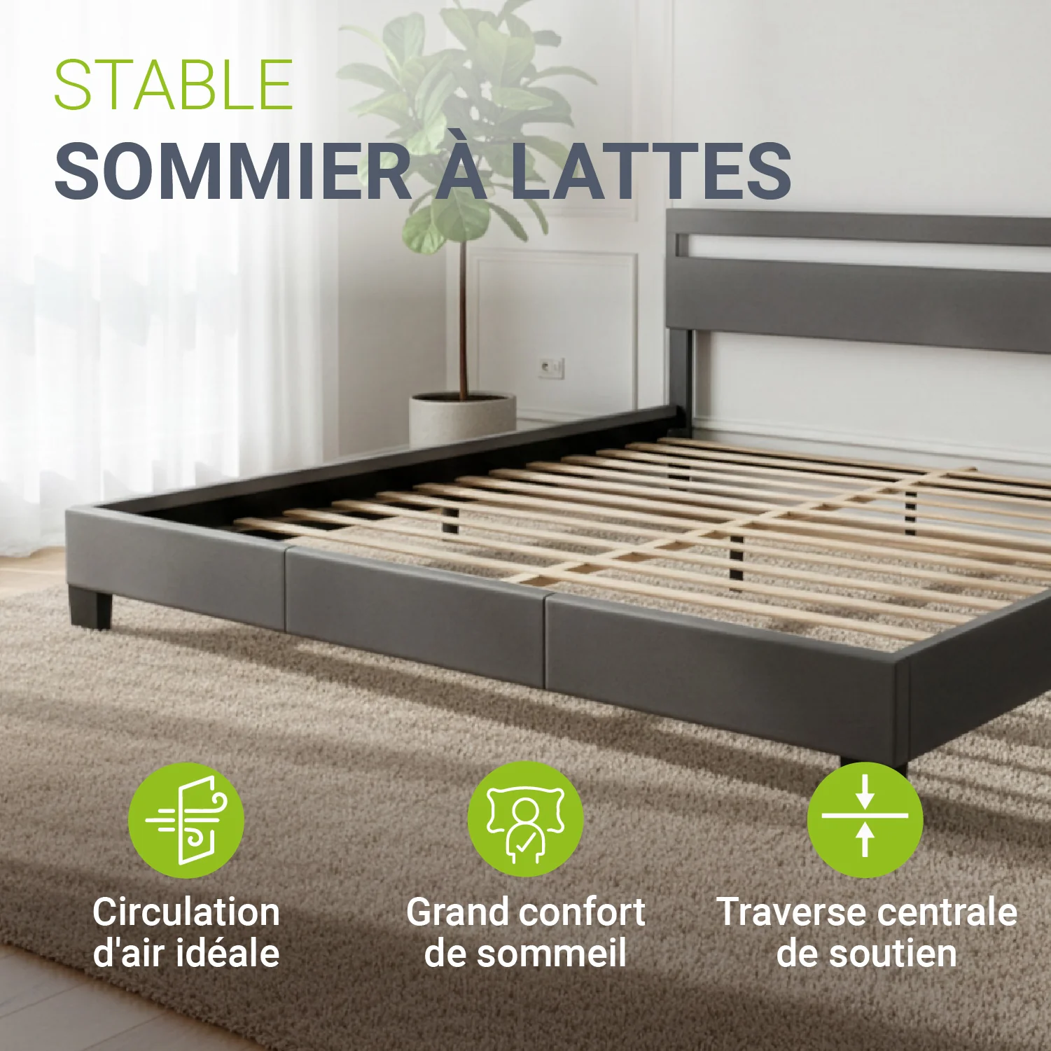 Image du produit 198