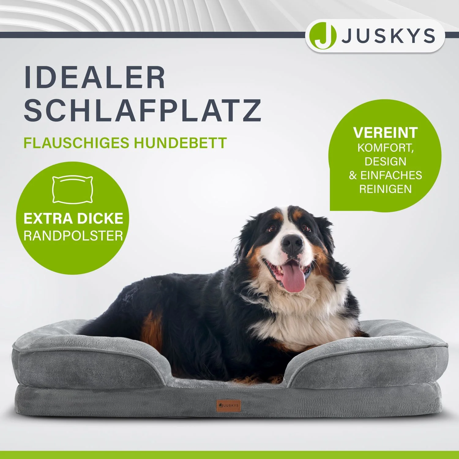 Image du produit 19