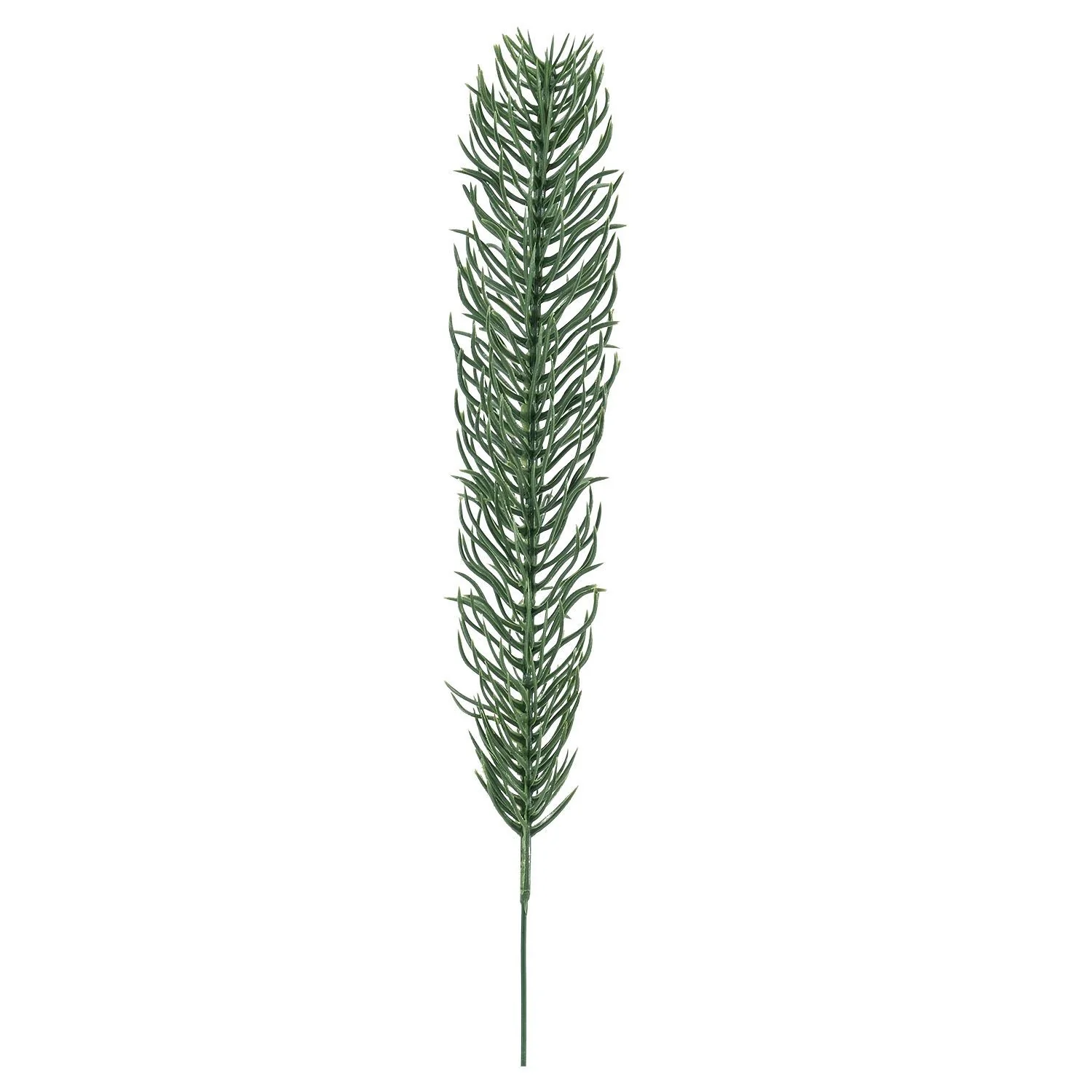 Image du produit 14